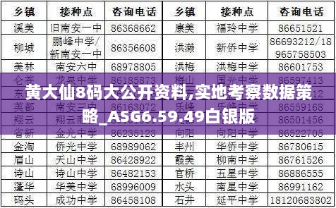 黄大仙8码大公开资料,实地考察数据策略_ASG6.59.49白银版