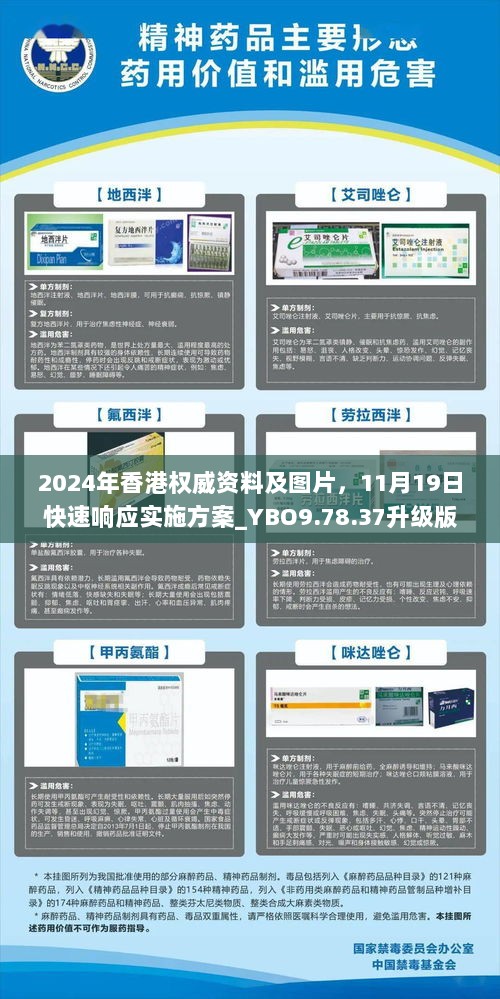 2024年香港权威资料及图片，11月19日快速响应实施方案_YBO9.78.37升级版