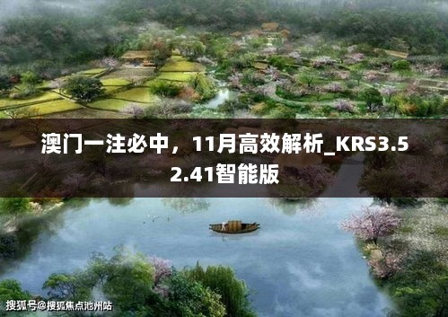 澳门一注必中，11月高效解析_KRS3.52.41智能版