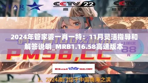 2024年管家婆一肖一特：11月灵活指导和解答说明_MRB1.16.58高速版本