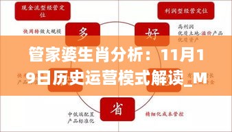 管家婆生肖分析：11月19日历史运营模式解读_MSW7.42.39神话版本