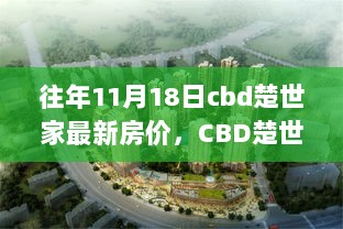 往年11月18日CBD楚世家最新房价深度解析与体验报告