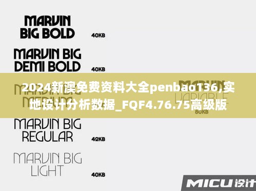 2024新澳免费资料大全penbao136,实地设计分析数据_FQF4.76.75高级版