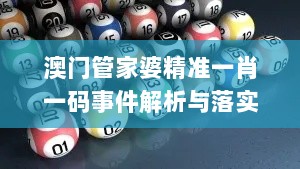 澳门管家婆精准一肖一码事件解析与落实_PNM9.77.62见证版