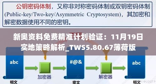 新奥资料免费精准计划验证：11月19日实地策略解析_TWS5.80.67薄荷版