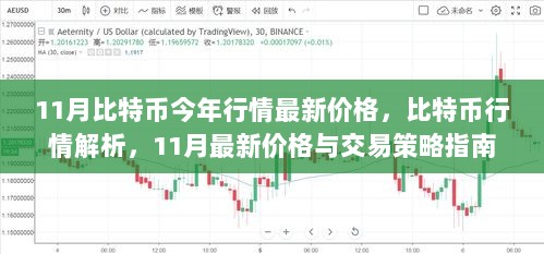 11月比特币行情解析与交易策略指南，最新价格及走势分析