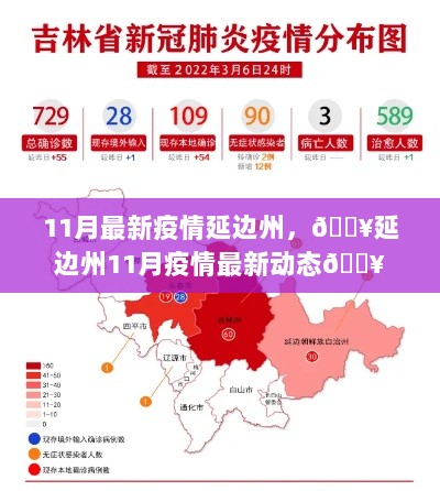 延边州11月疫情最新动态报告