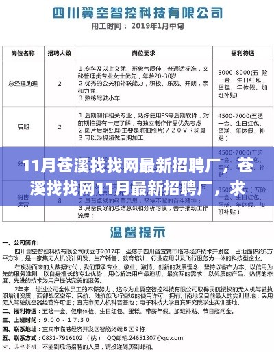 11月苍溪找找网最新厂招求职全流程步骤指南