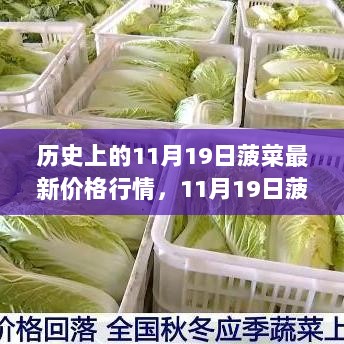 11月19日菠菜价格新动向，智慧农业与未来科技产品的融合趋势