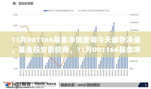 11月001166基金净值解析与最新净值查询，基金投资新视角