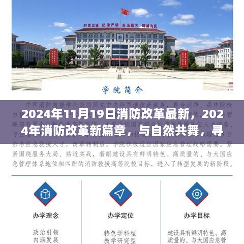 2024年消防改革新篇章，与自然共舞，寻找改革中的内心平静之旅