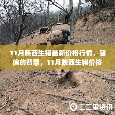 11月陕西生猪价格新篇章，见证智慧与成就的自信之旅