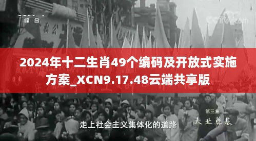 2024年十二生肖49个编码及开放式实施方案_XCN9.17.48云端共享版