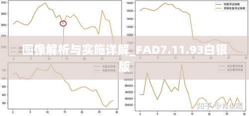 图像解析与实施详解_FAD7.11.93白银版