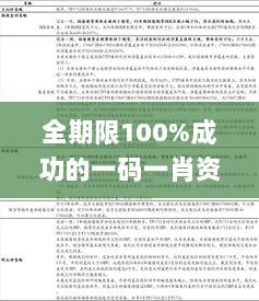 全期限100%成功的一码一肖资料，策略持续执行_LLN7.30.89套件版