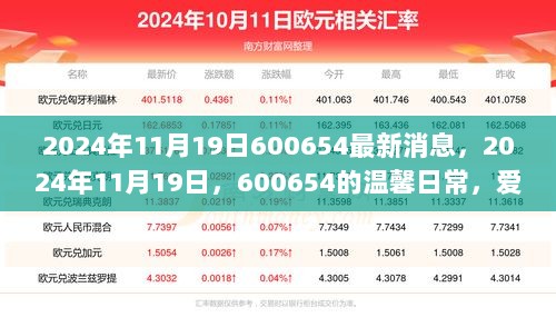 2024年11月19日，600654的温馨日常，爱与陪伴的力量