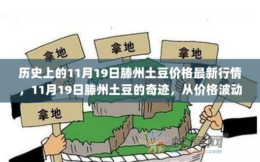 11月19日滕州土豆价格行情的奇迹，从价格波动中找寻自信与成就