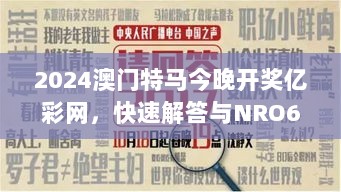 2024澳门特马今晚开奖亿彩网，快速解答与NRO6.24.82升级版解析