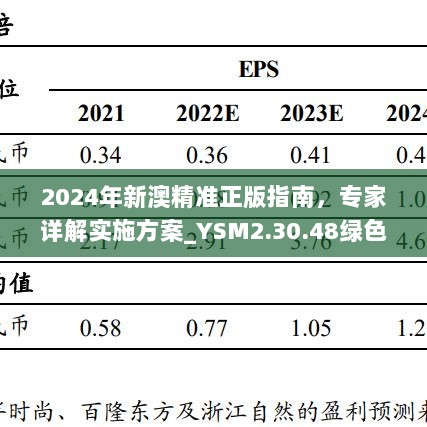 2024年新澳精准正版指南，专家详解实施方案_YSM2.30.48绿色版