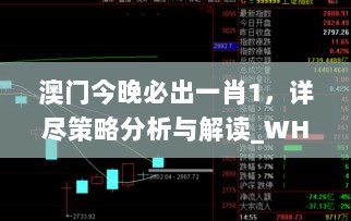 澳门今晚必出一肖1，详尽策略分析与解读_WHO1.19.27豪华版