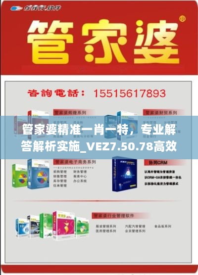 管家婆精准一肖一特，专业解答解析实施_VEZ7.50.78高效版