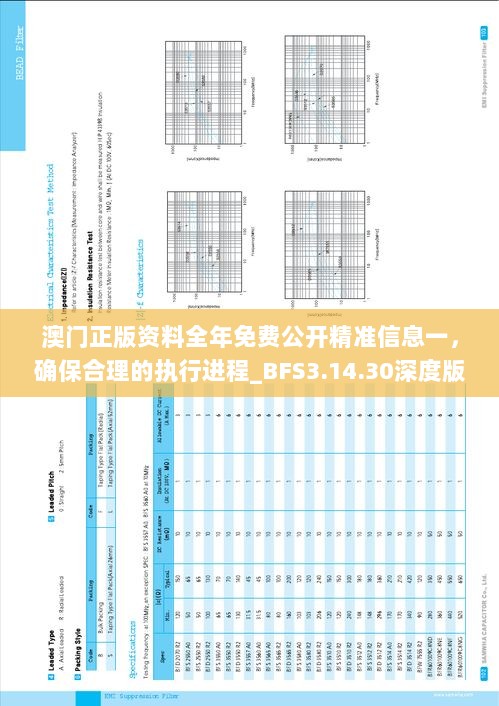 澳门正版资料全年免费公开精准信息一，确保合理的执行进程_BFS3.14.30深度版