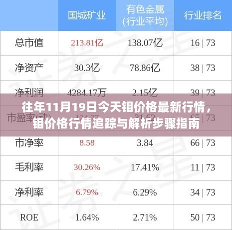 11月19日钼价格最新行情追踪与解析步骤指南