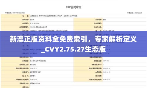 新澳正版资料全免费索引，专家解析定义_CVY2.75.27生态版