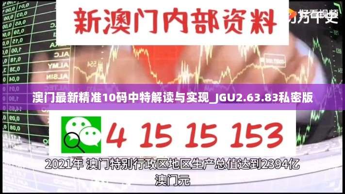 澳门最新精准10码中特解读与实现_JGU2.63.83私密版