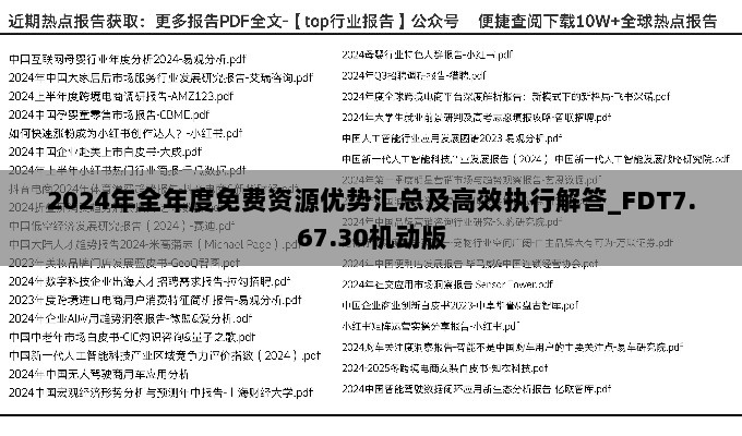 2024年全年度免费资源优势汇总及高效执行解答_FDT7.67.30机动版