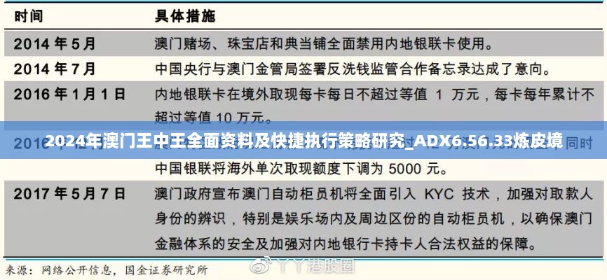 2024年澳门王中王全面资料及快捷执行策略研究_ADX6.56.33炼皮境