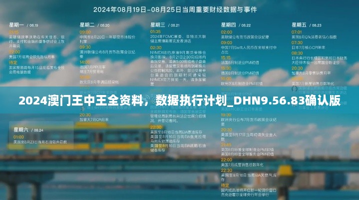 2024澳门王中王全资料，数据执行计划_DHN9.56.83确认版