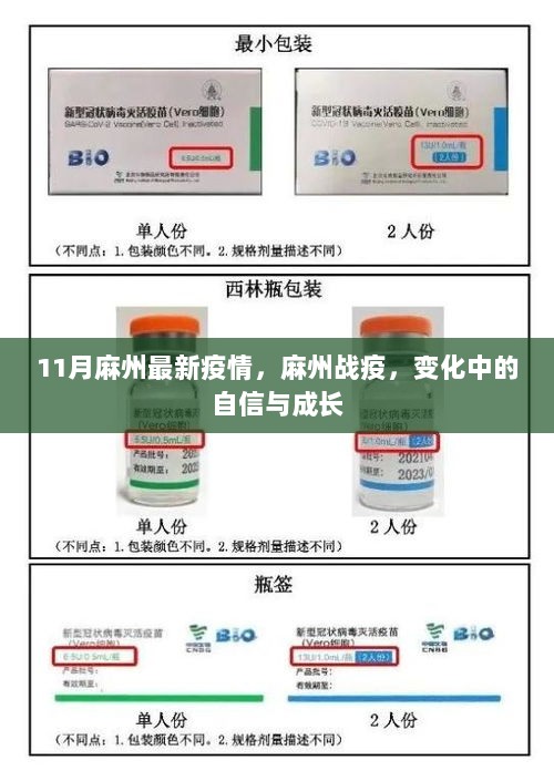 麻州战疫，变化中的自信与成长——11月疫情最新动态