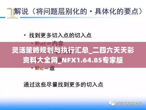 灵活策略规划与执行汇总_二四六天天彩资料大全网_NFX1.64.85专家版