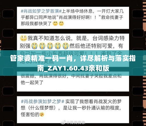 管家婆精准一码一肖，详尽解析与落实指南_ZAY1.60.43亲和版