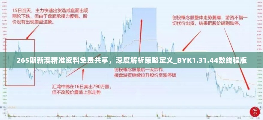 2024年11月20日 第47页