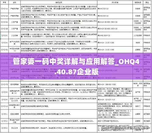 管家婆一码中奖详解与应用解答_OHQ4.40.87企业版