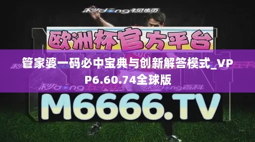 管家婆一码必中宝典与创新解答模式_VPP6.60.74全球版