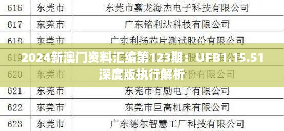 2024新澳门资料汇编第123期：UFB1.15.51深度版执行解析