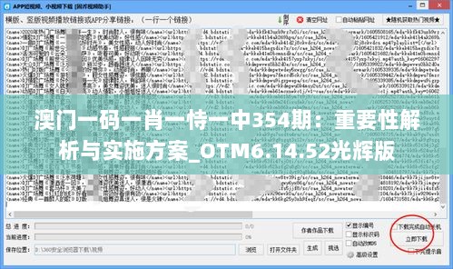 澳门一码一肖一恃一中354期：重要性解析与实施方案_OTM6.14.52光辉版