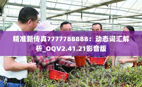 精准新传真7777788888：动态词汇解析_OQV2.41.21影音版