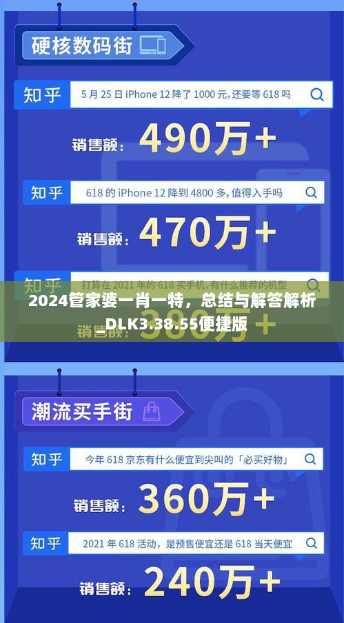 2024管家婆一肖一特，总结与解答解析_DLK3.38.55便捷版