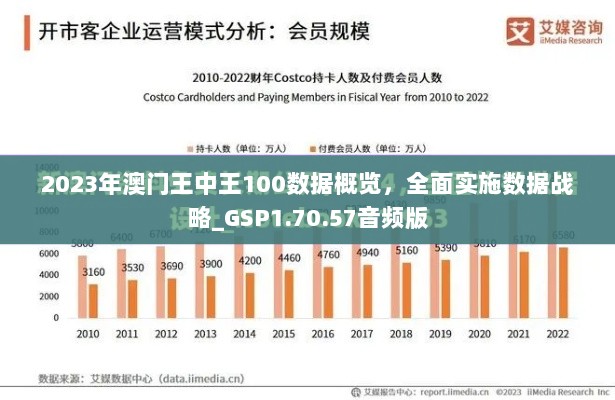 2023年澳门王中王100数据概览，全面实施数据战略_GSP1.70.57音频版