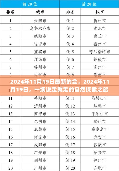 2024年11月19日，一场说走就走的自然探索之旅——寻找心灵的宁静与平静