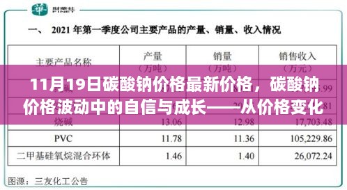 碳酸钠价格波动中的自信与成长，寻找动力与希望的策略