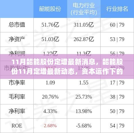 韶能股份11月定增最新动态，资本运作下的企业新机遇