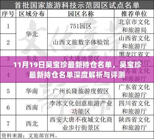 11月19日吴宝珍最新持仓名单深度解析与评测