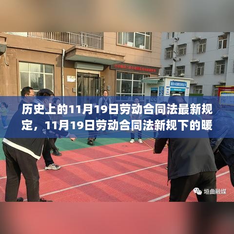 11月19日劳动合同法新规下的暖心故事，法律与人文关怀的交融时刻