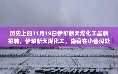 伊犁新天煤化工的招聘盛事，历史上的11月19日隐藏在小巷深处的招聘活动