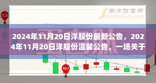 2024年11月20日洋股份暖心陪伴与友情故事公告